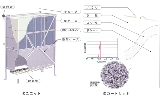 構造